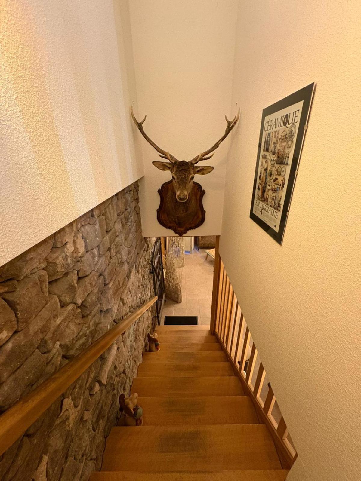 Cheniménil Auberge Du Ruxelier J&D المظهر الخارجي الصورة